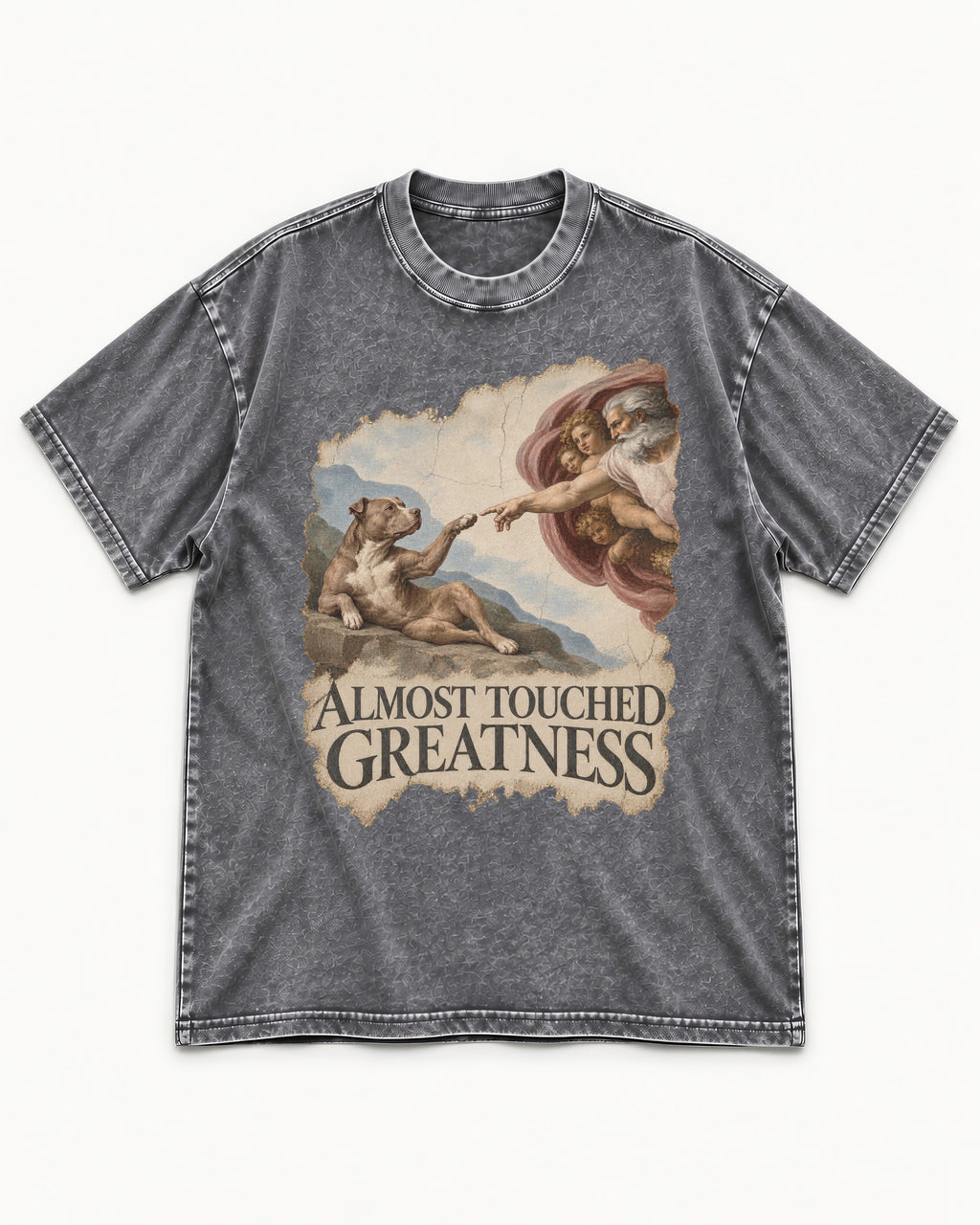 Pitbull Almost Touched Greatness Creation Parody Graphic Washed Tee in Gray, flat lay product photo