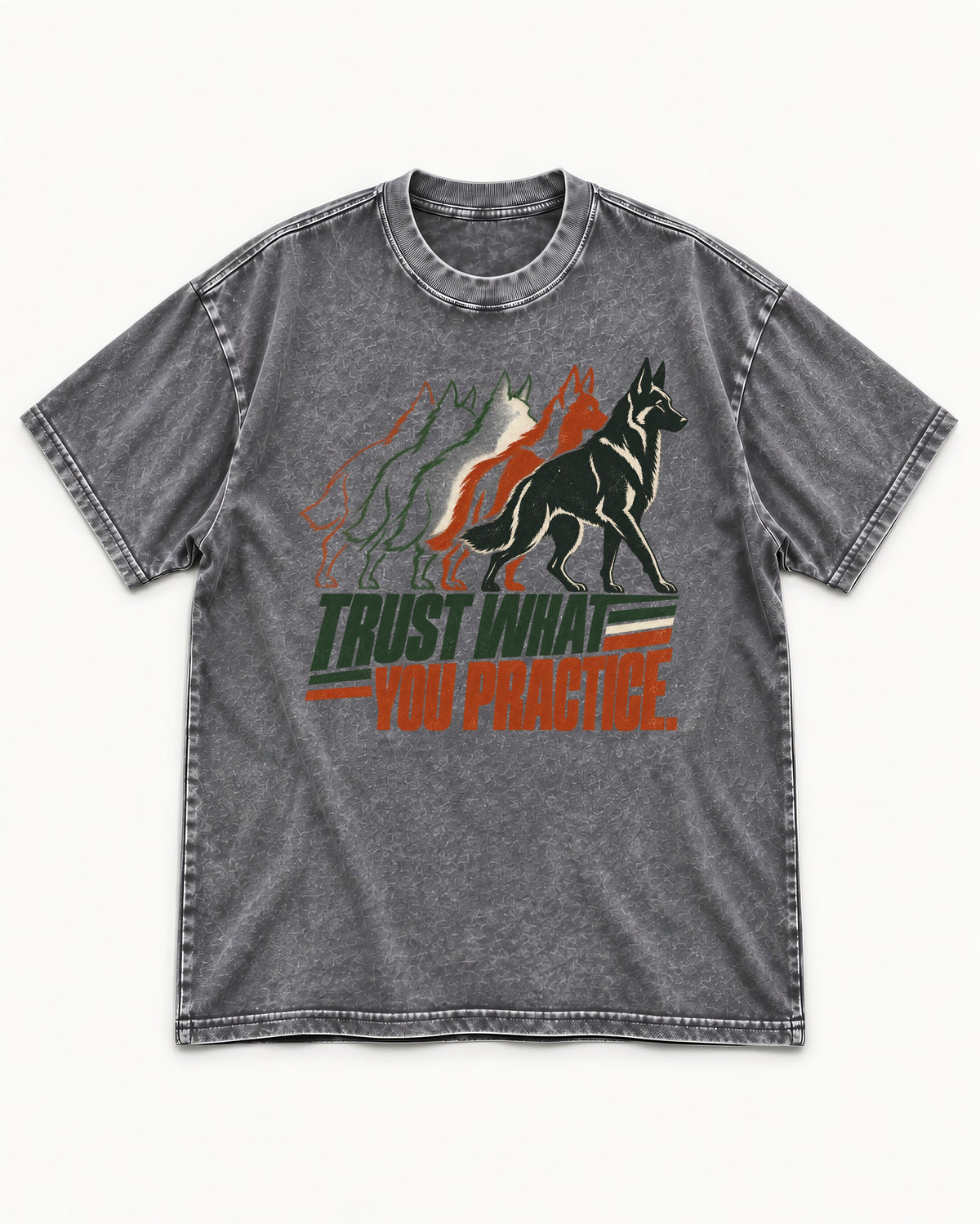 Trust What You Practice German Shepherd Dog Washed Tee in Gray, flat lay product photo