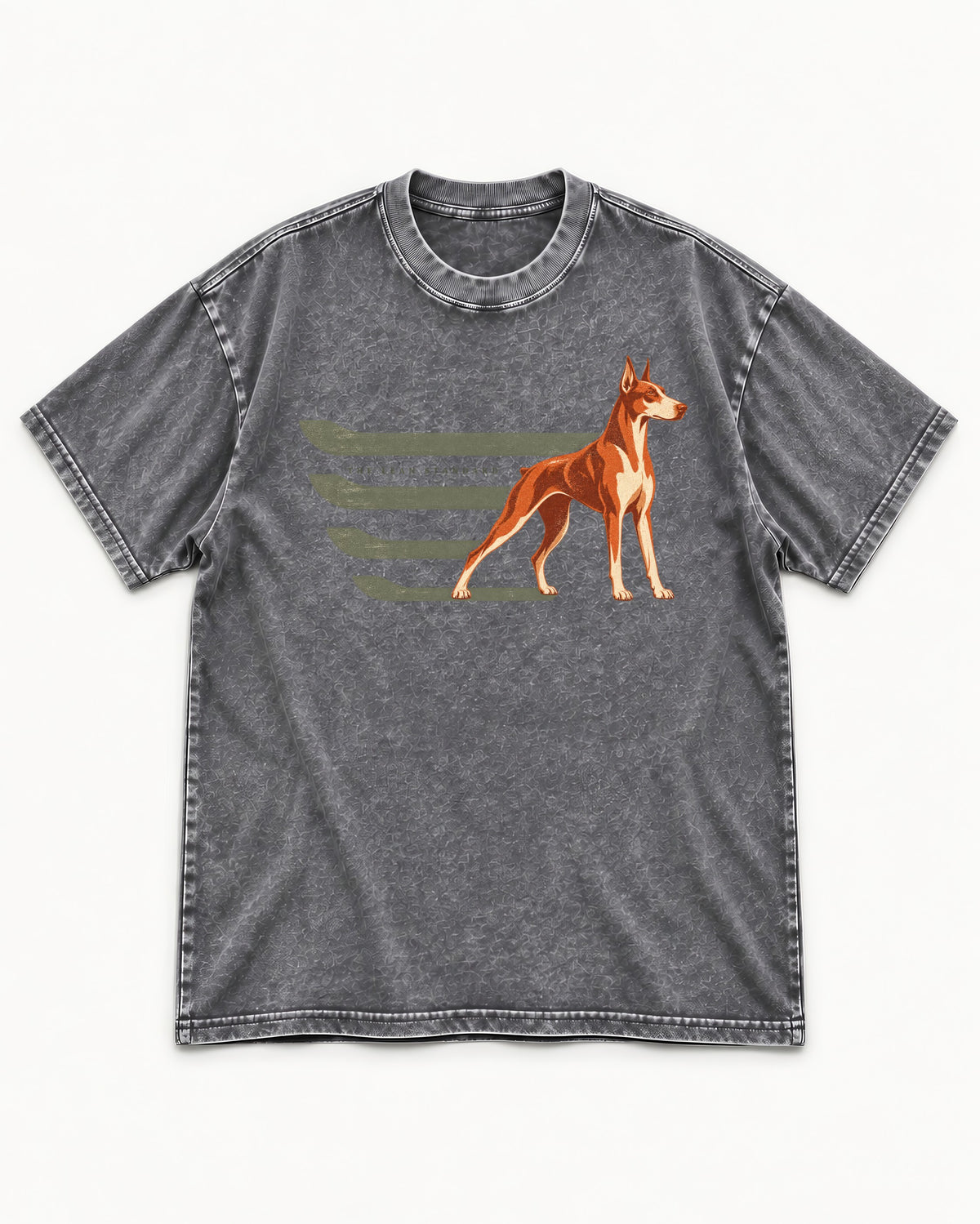 Doberman The Lean Standard Speed Bars Graphic Washed Tee in Gray, flat lay product photo