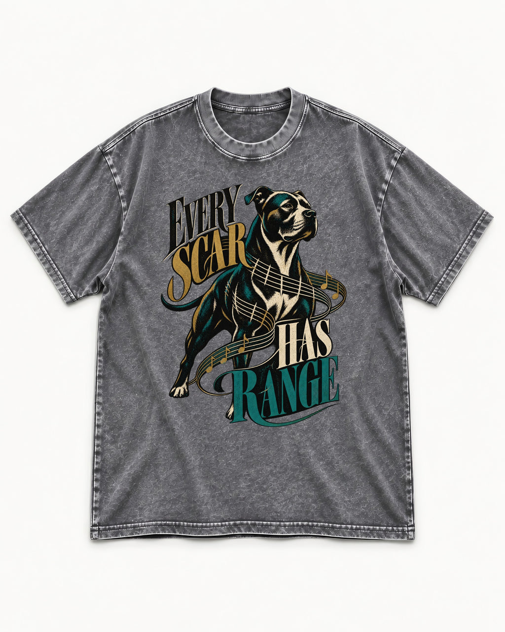 Every Pitbull Scar Has Range Washed Tee in Gray, flat lay product photo