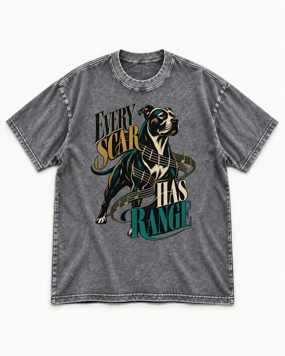 Every Pitbull Scar Has Range Washed Tee in Gray, flat lay product photo