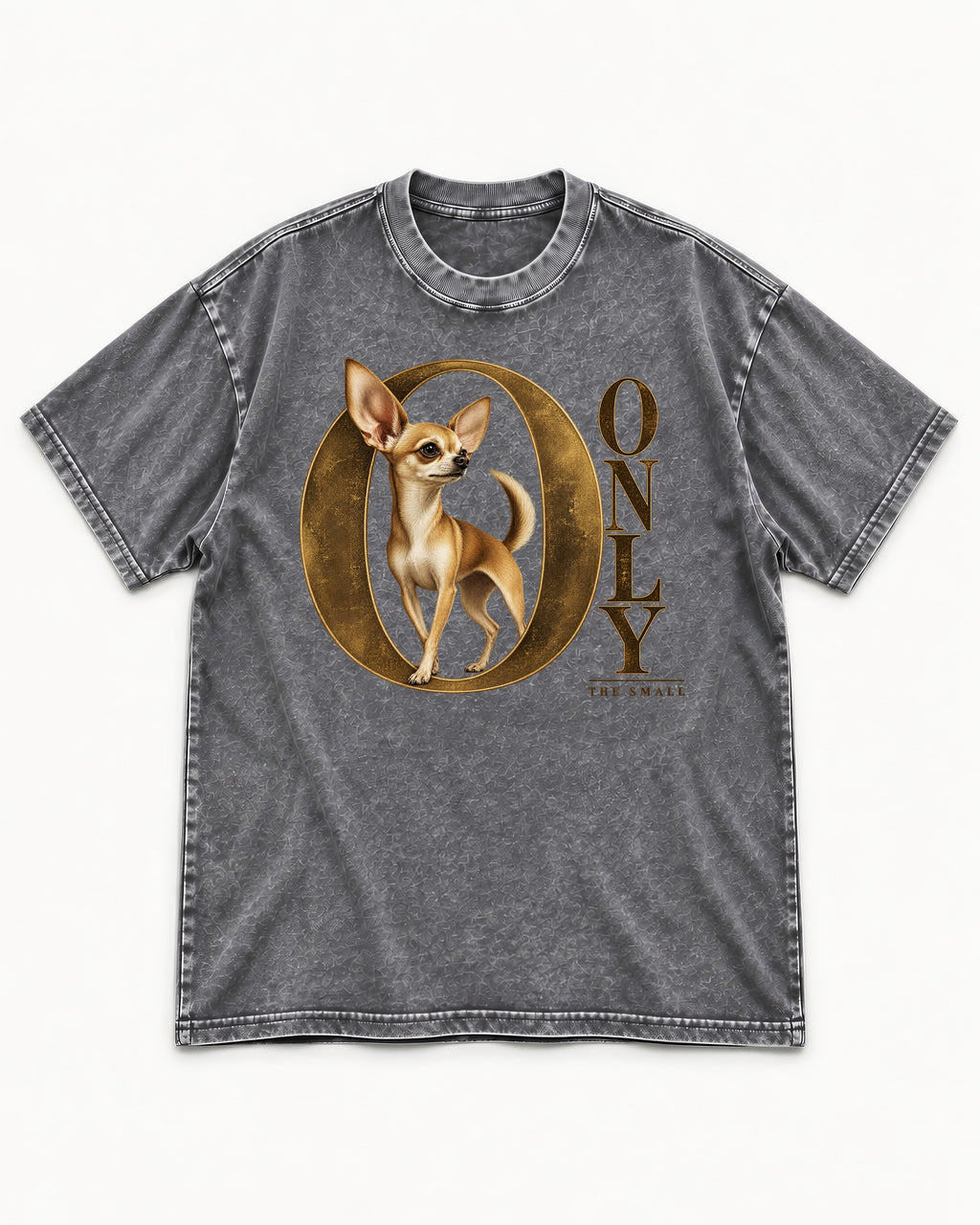 Chihuahua Only the Small Washed Tee in Gray, flat lay product photo
