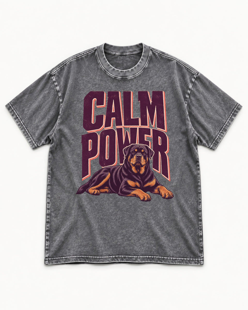 Rottweiler Calm Power Resting Dog Graphic Washed Tee in Gray, flat lay product photo