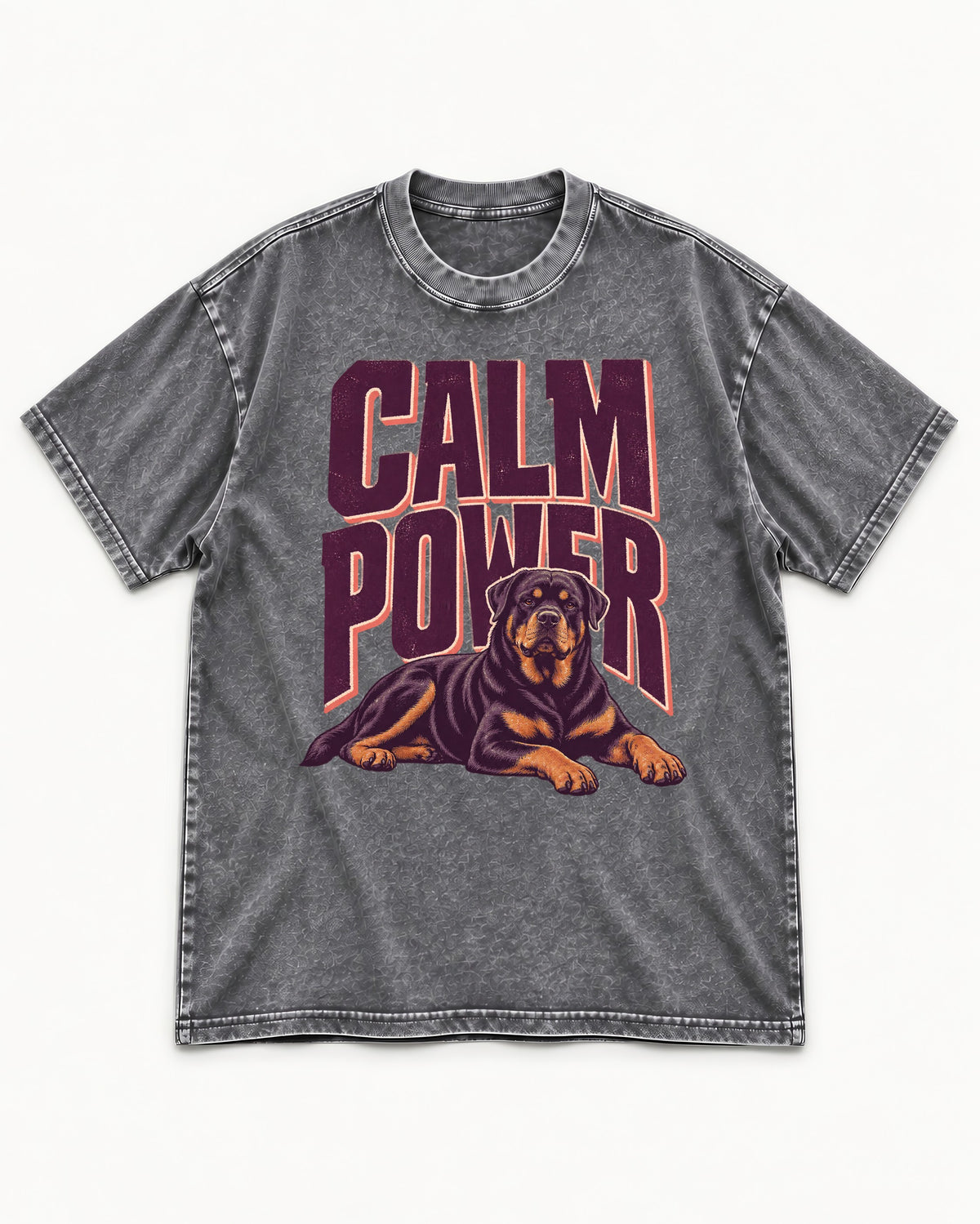 Rottweiler Calm Power Resting Dog Graphic Washed Tee in Gray, flat lay product photo