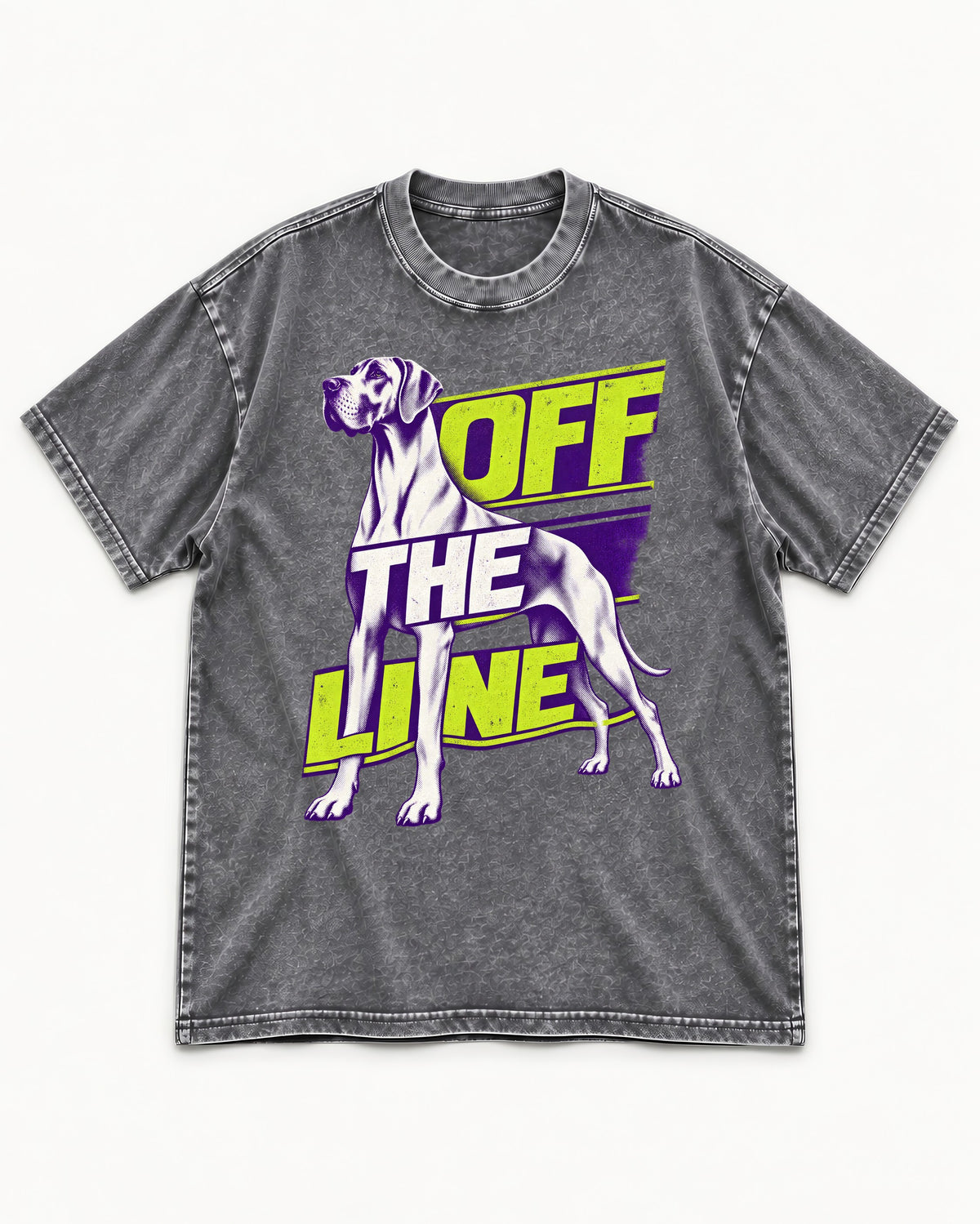 Great Dane Off the Line Washed Tee in Gray, flat lay product photo