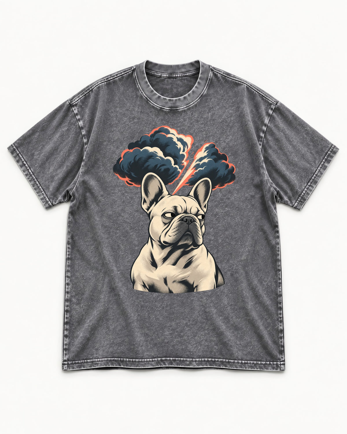 Frenchie Storm Warning Washed Tee in Gray, flat lay product photo