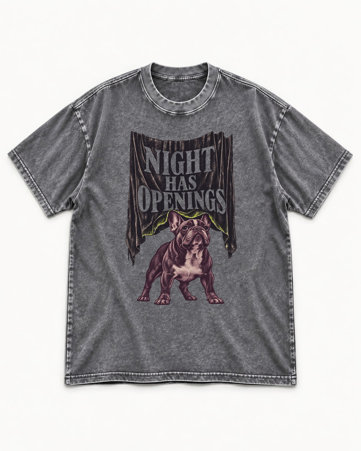 Night Has Openings Frenchie Washed Tee in Gray, flat lay product photo