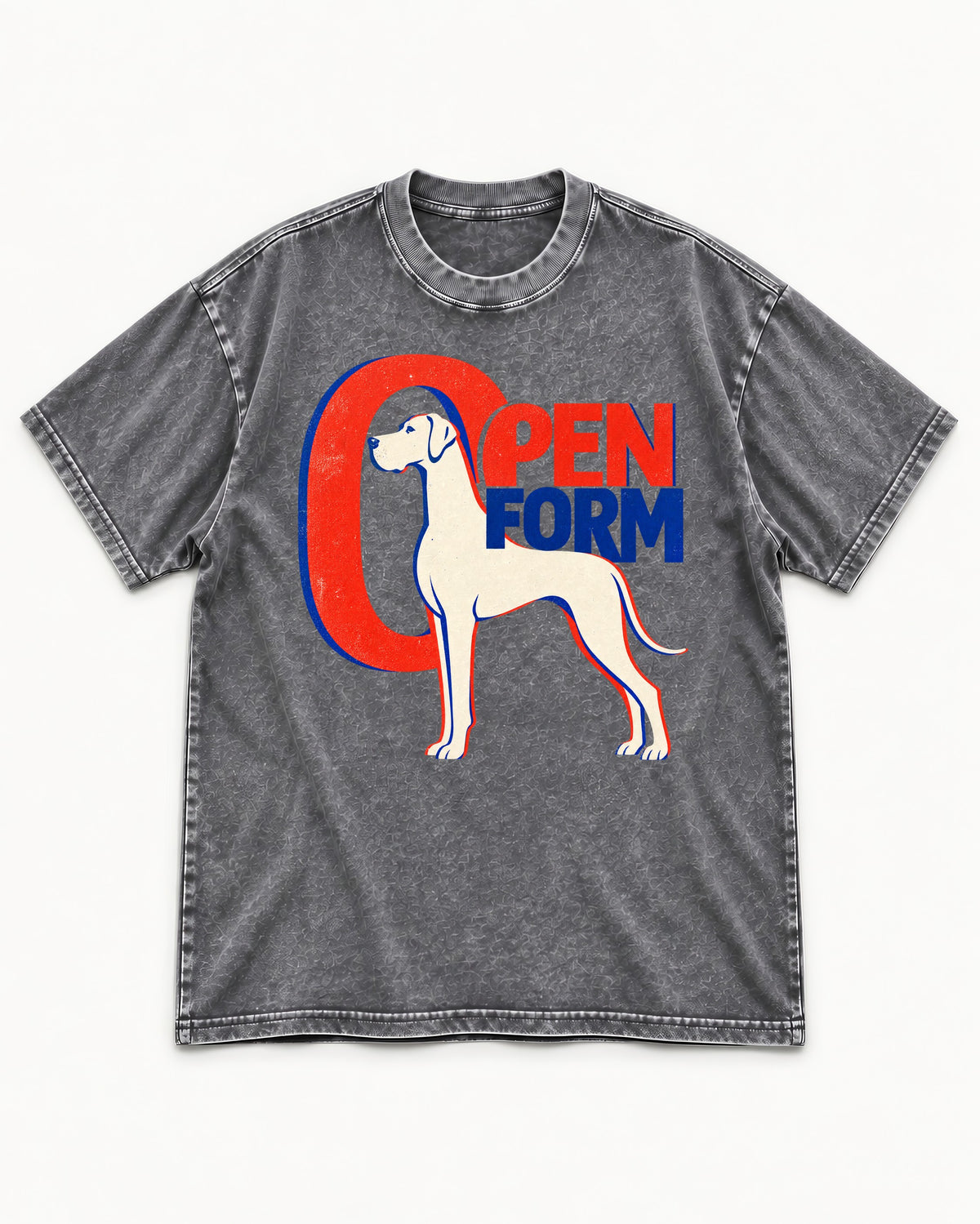 Open Form Great Dane Washed Tee in Gray, flat lay product photo