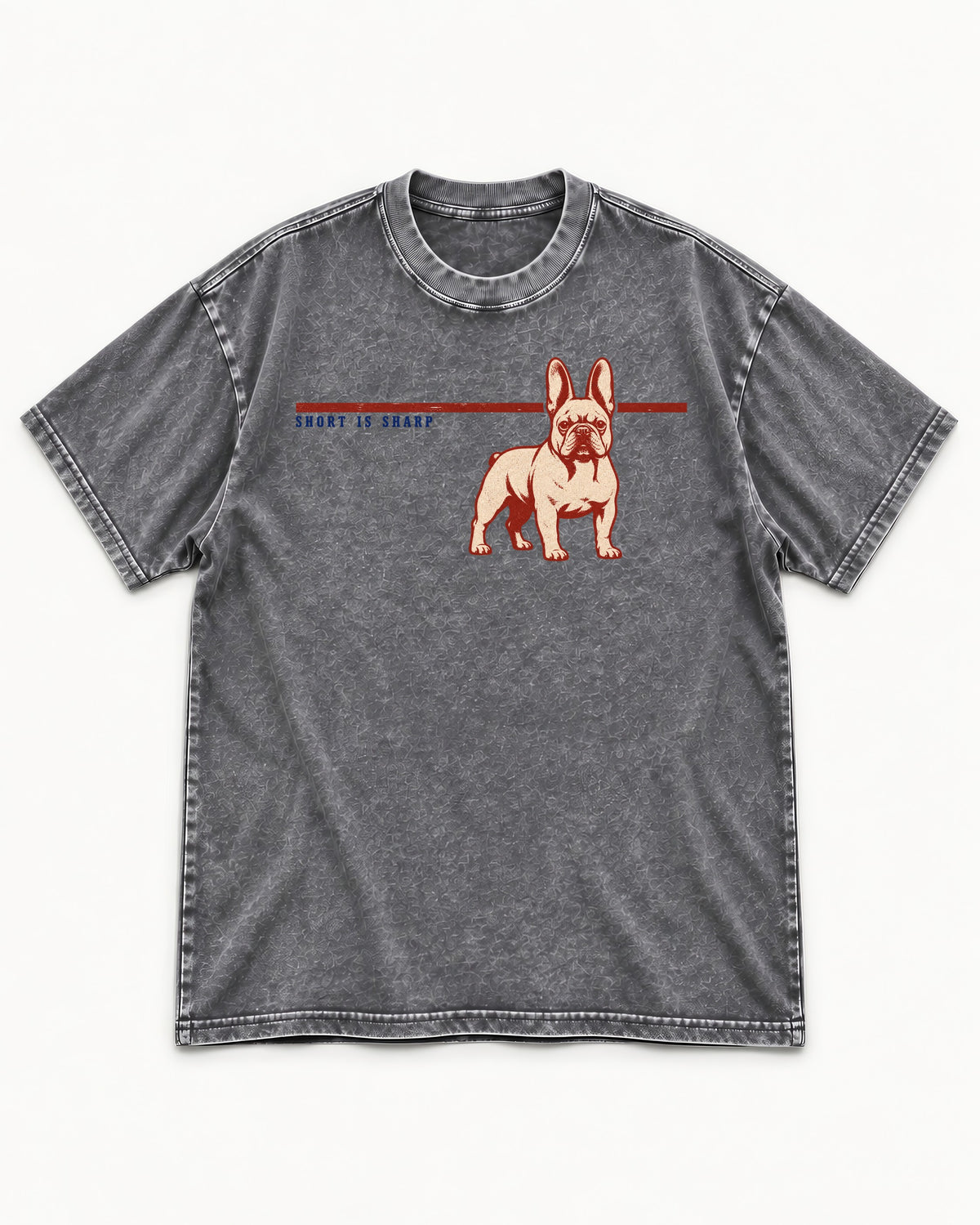 Short Is Sharp Frenchie Washed Tee in Gray, flat lay product photo