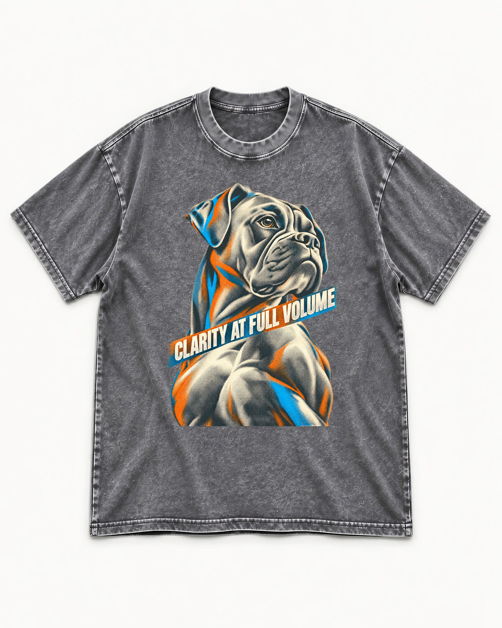 Clarity at Full Volume Boxer Portrait Washed Tee in Gray, flat lay product photo