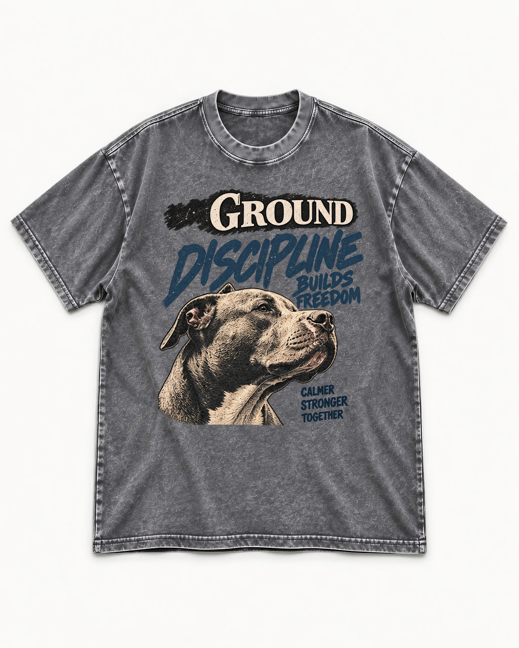 Pitbull Discipline Builds Freedom Washed Tee in Gray, flat lay product photo