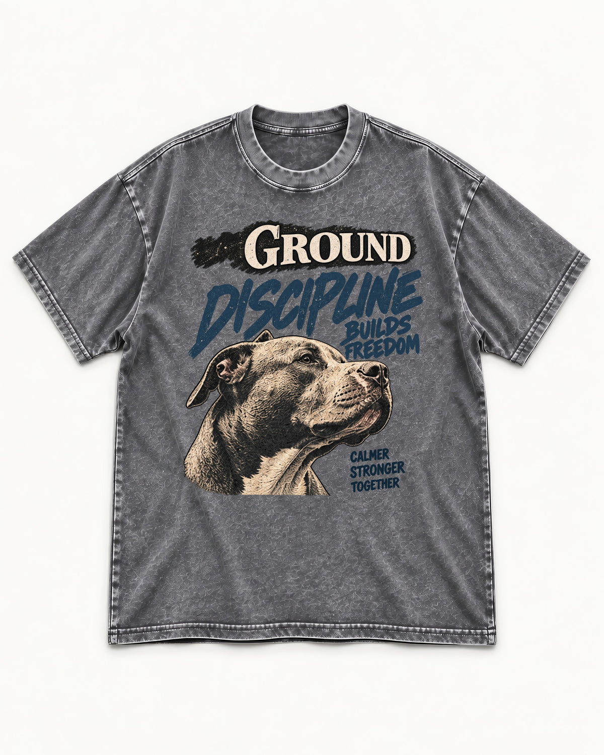 Pitbull Discipline Builds Freedom Washed Tee in Gray, flat lay product photo