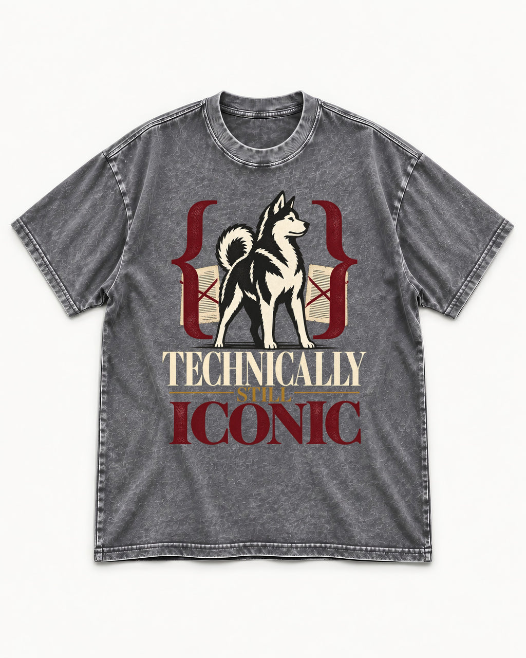 Husky Technically Still Iconic Editorial Frame Graphic Washed Tee in Gray, flat lay product photo