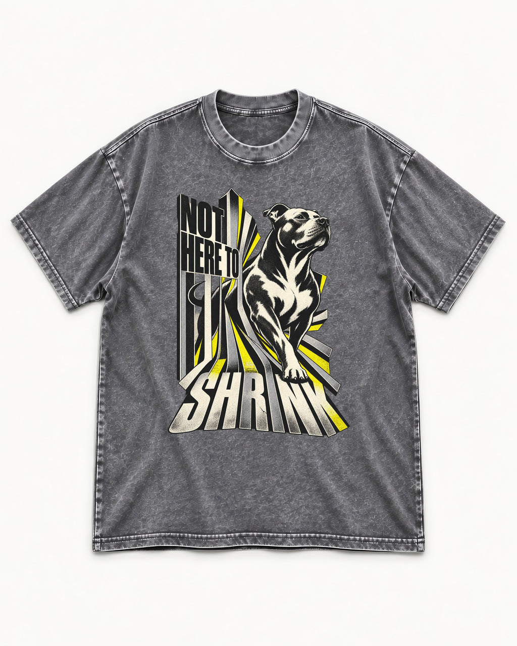 Not Here to Share Pitbull Washed Tee in Gray, flat lay product photo