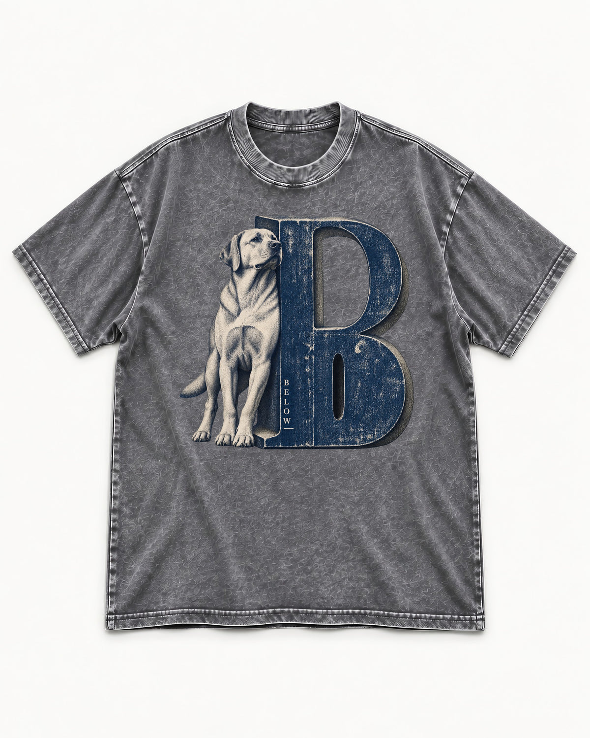 Labrador Retriever Below Washed Tee in Gray, flat lay product photo