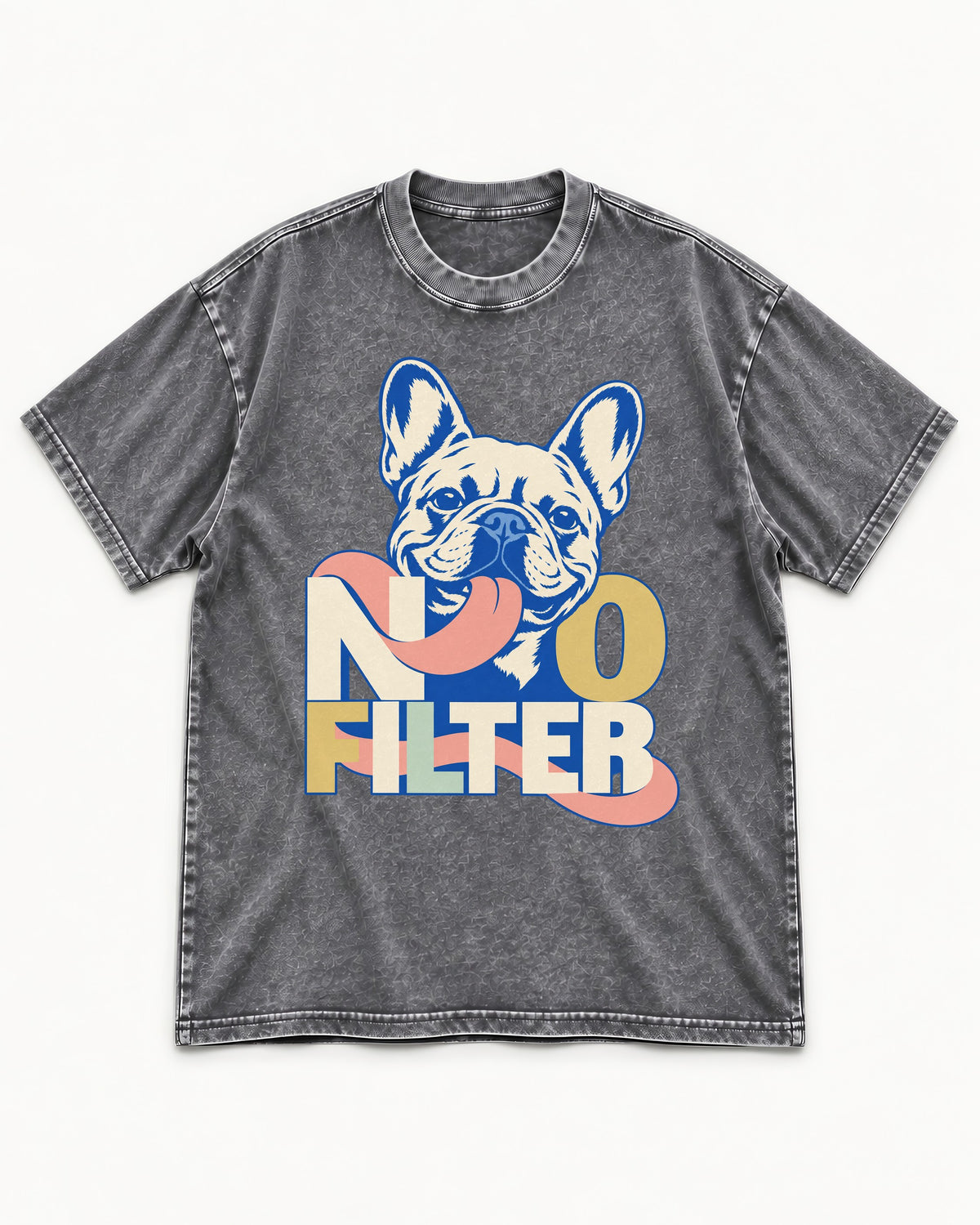 No Filter Frenchie Washed Tee in Gray, flat lay product photo