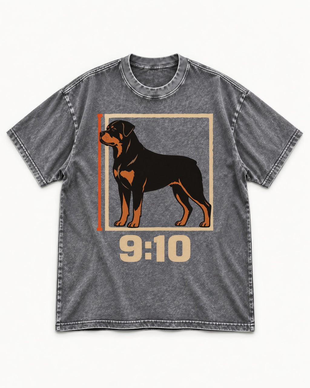 Nine Ten Rottweiler Proportion Frame Graphic Washed Tee in Gray, flat lay product photo