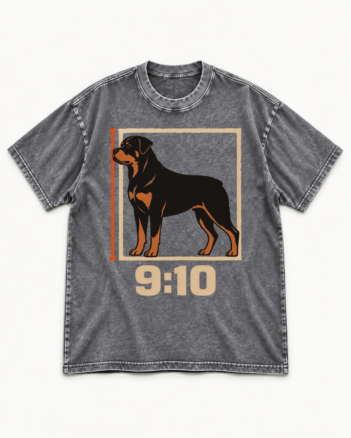 Nine Ten Rottweiler Proportion Frame Graphic Washed Tee in Gray, flat lay product photo