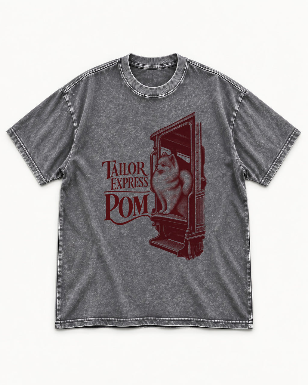 Pomeranian Express Washed Tee in Gray, flat lay product photo