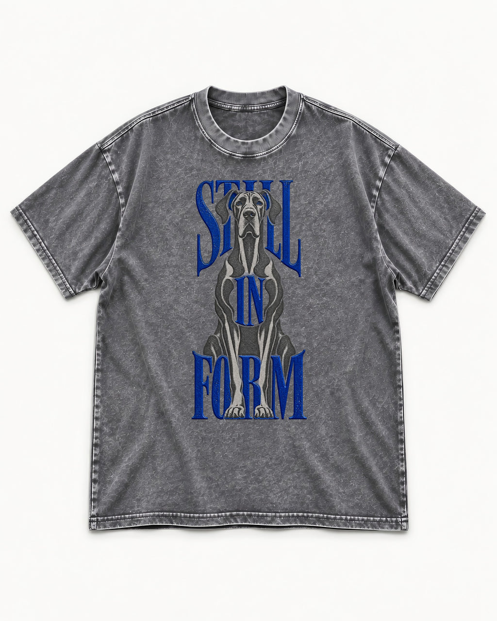 Still in Form Great Dane Washed Tee in Gray, flat lay product photo