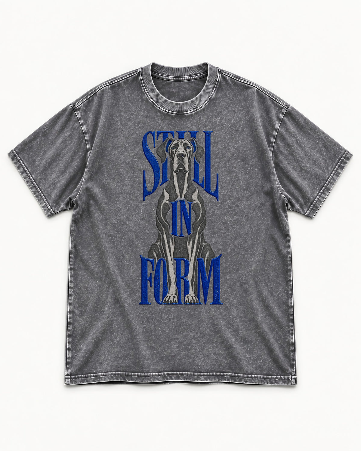 Still in Form Great Dane Washed Tee in Gray, flat lay product photo