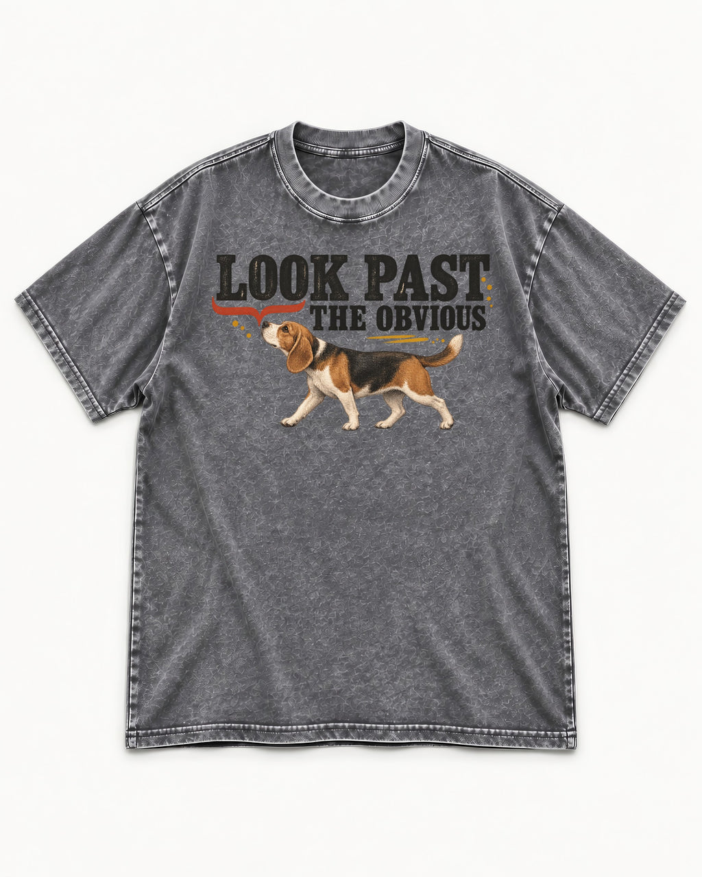 Beagle Look Past the Obvious Washed Tee in Gray, flat lay product photo