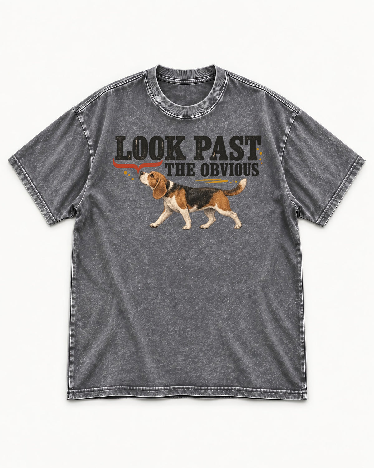 Beagle Look Past the Obvious Washed Tee in Gray, flat lay product photo