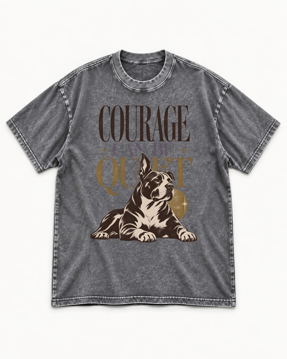 Pitbull Courage Can Be Quiet Washed Tee in Gray, flat lay product photo
