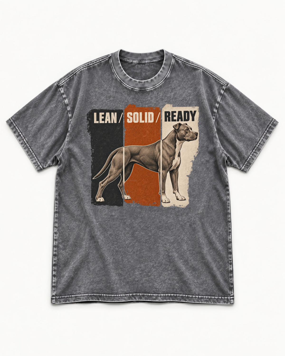 Pitbull Lean Solid Ready Triptych Graphic Washed Tee in Gray, flat lay product photo