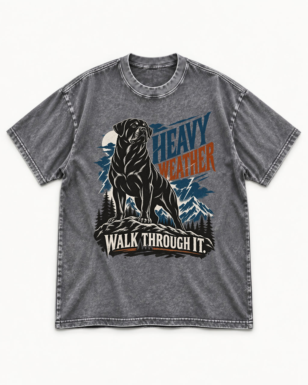 Heavy Weather Rottweiler Washed Tee in Gray, flat lay product photo
