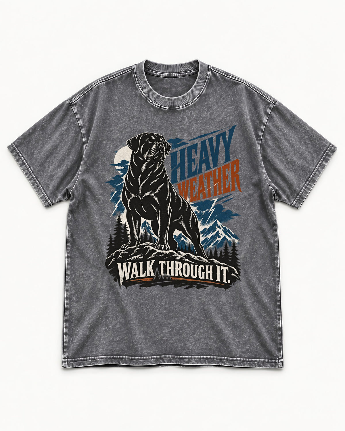 Heavy Weather Rottweiler Washed Tee in Gray, flat lay product photo