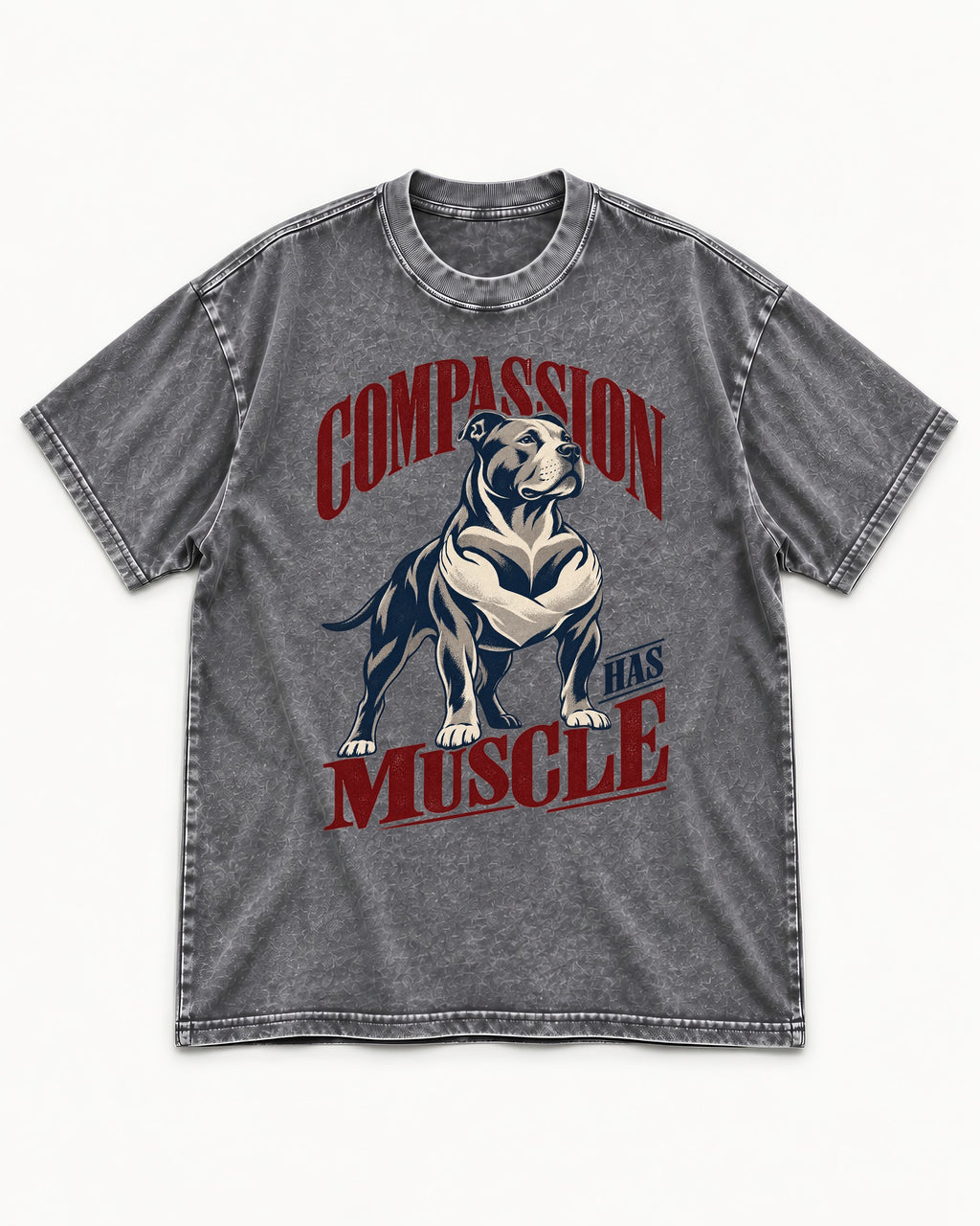 Pitbull Compassion Has Muscle Washed Tee in Gray, flat lay product photo