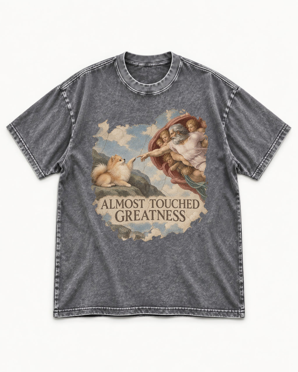 Pomeranian Almost Touched Greatness Fresco Graphic Washed Tee in Gray, flat lay product photo