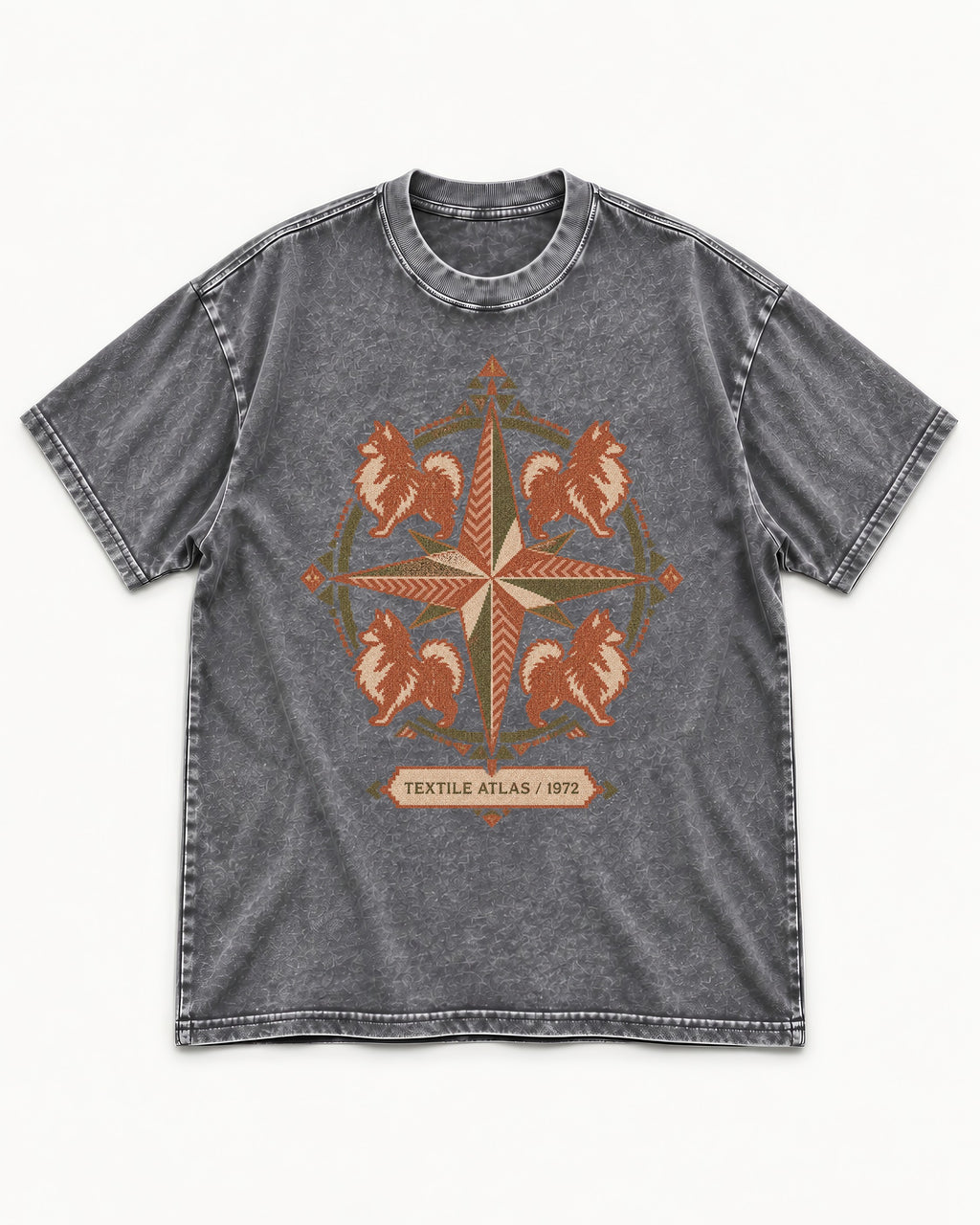 Pomeranian Textile Atlas Compass Rose Graphic Washed Tee in Gray, flat lay product photo