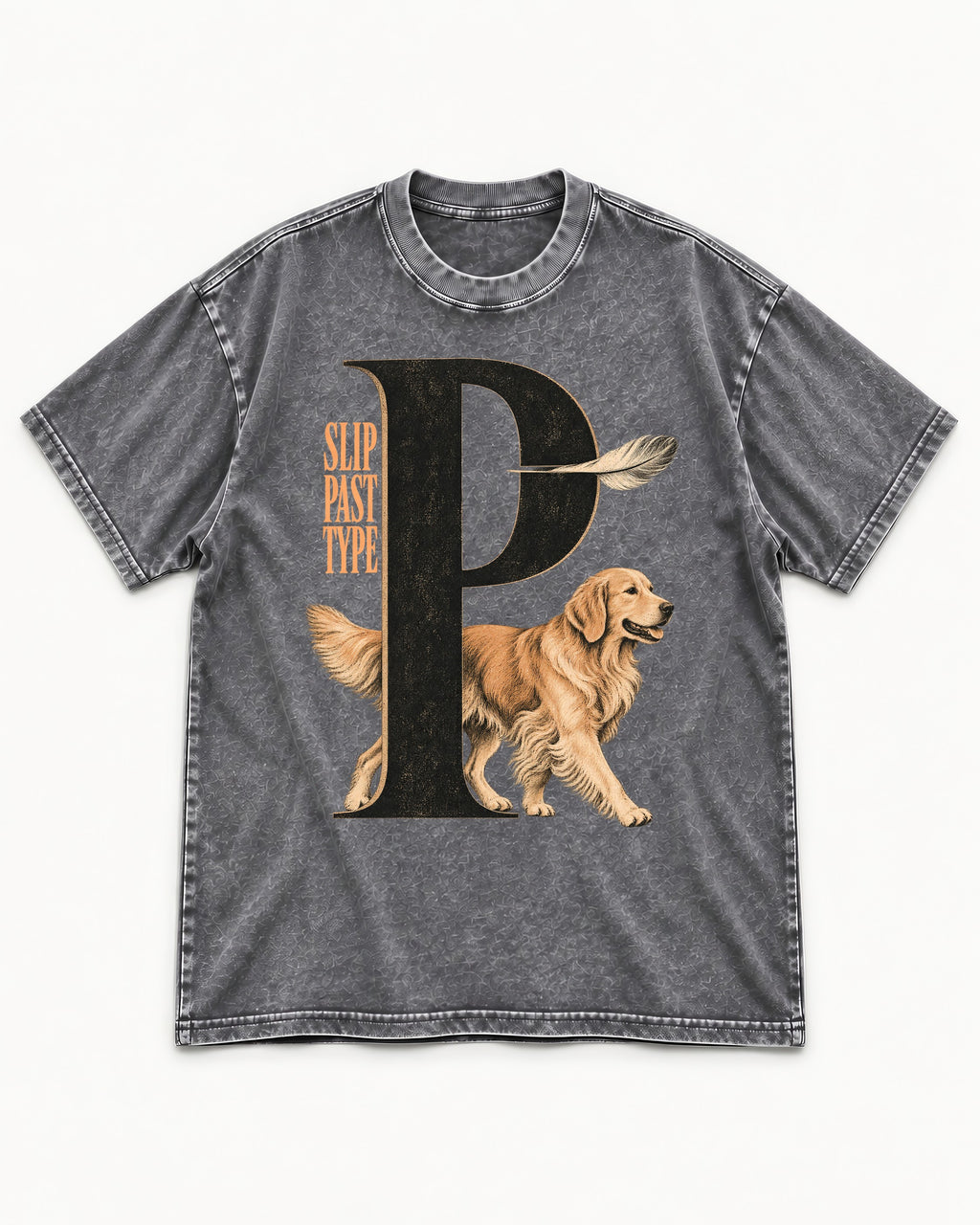 Golden Retriever Slip Past Type Washed Tee in Gray, flat lay product photo