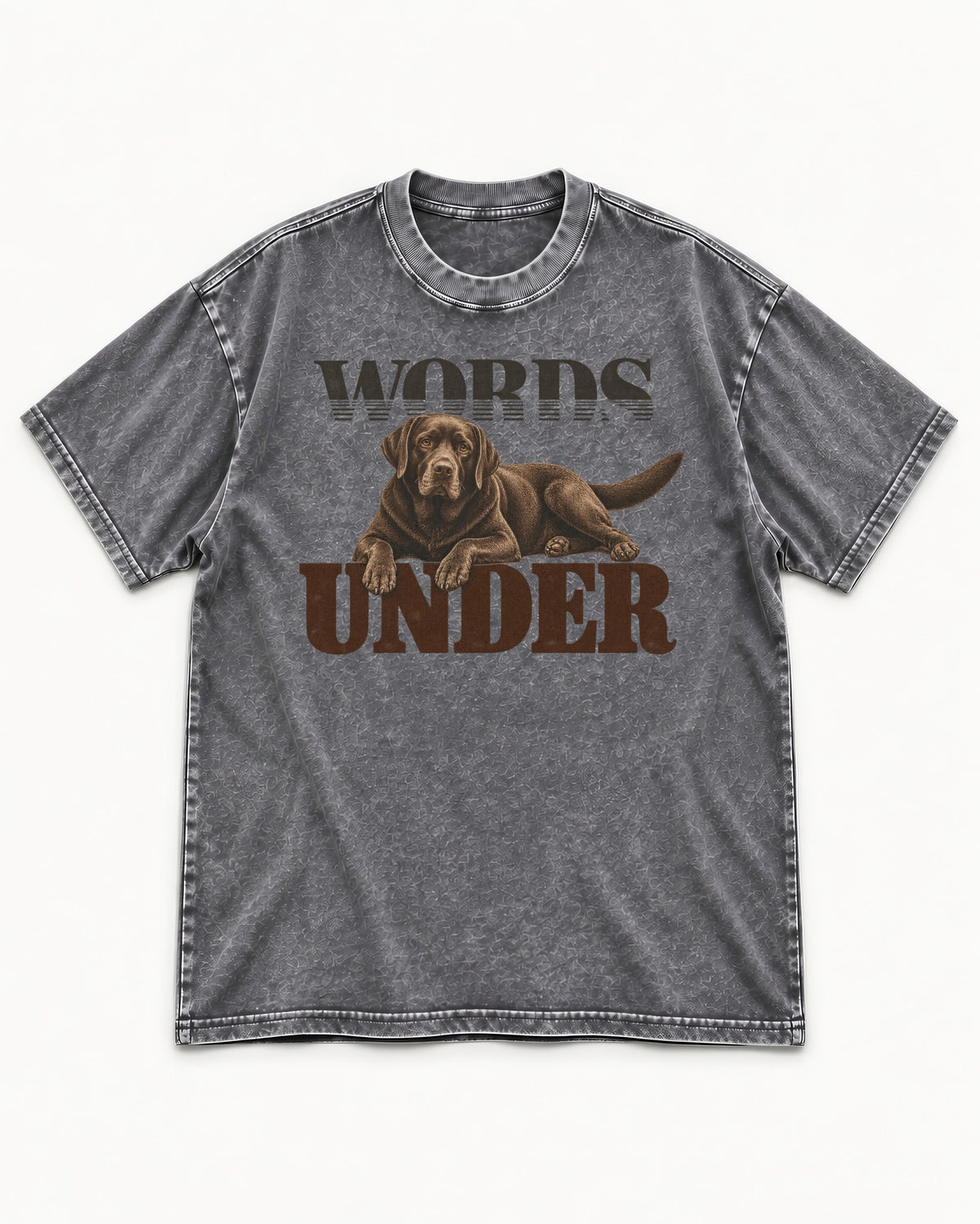 Words Under Labrador Retriever Washed Tee in Gray, flat lay product photo