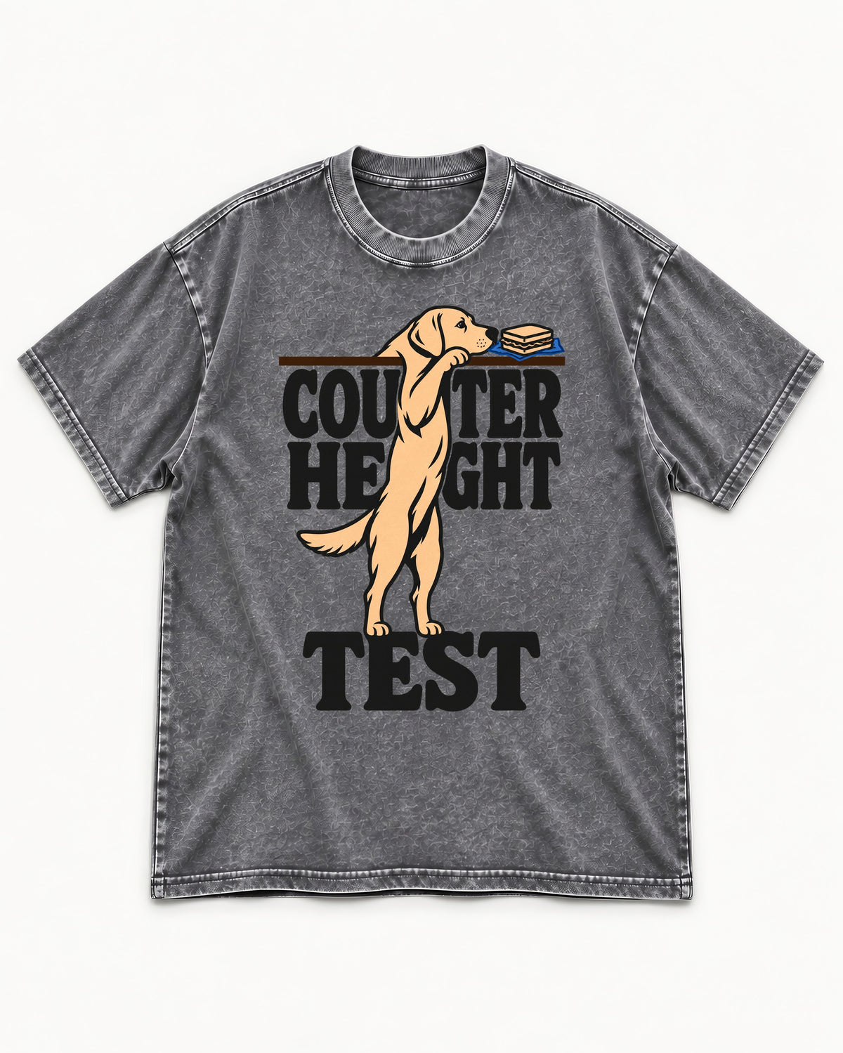 Labrador Retriever Counter Height Test Washed Tee in Gray, flat lay product photo