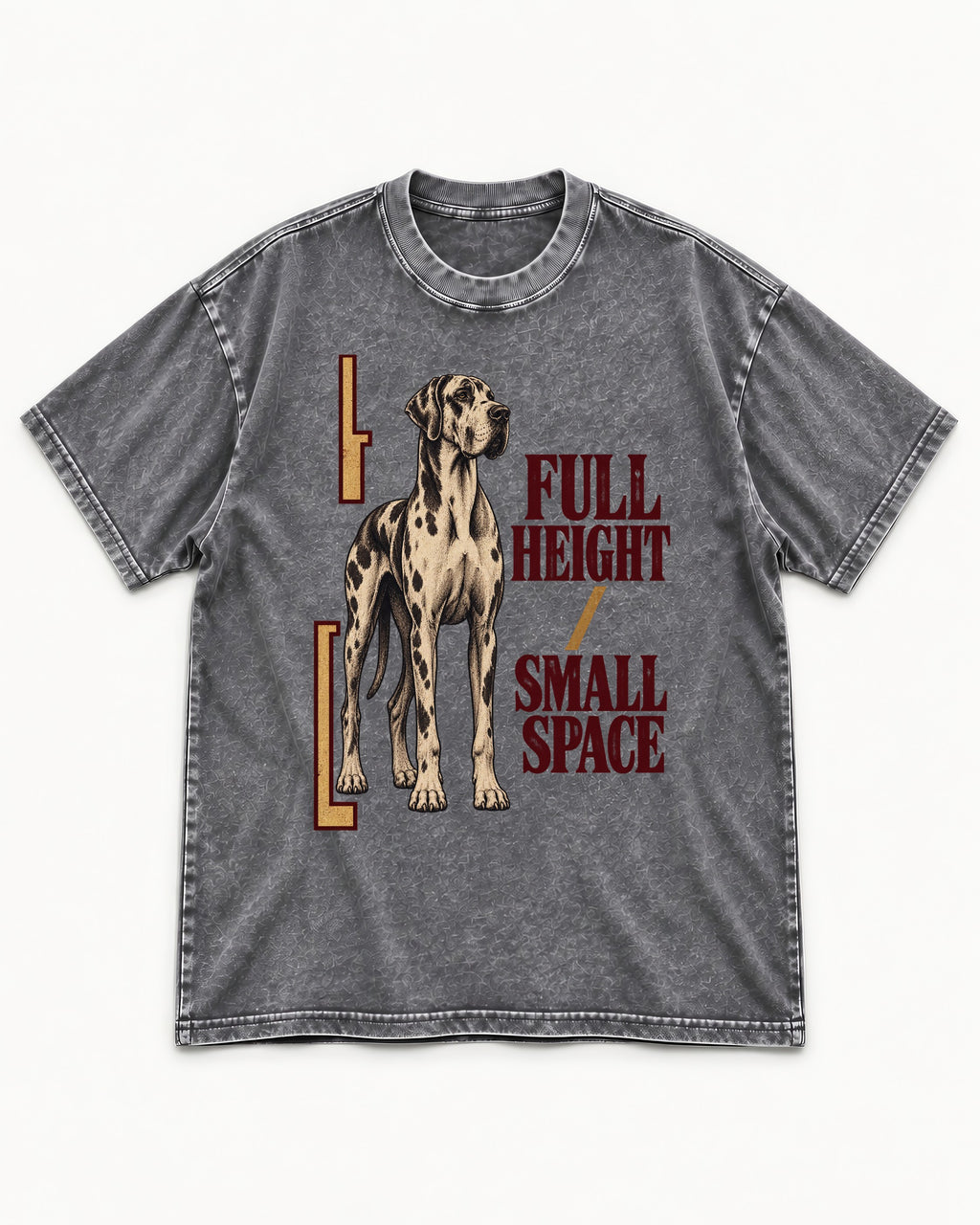Great Dane Full Height Small Space Washed Tee in Gray, flat lay product photo