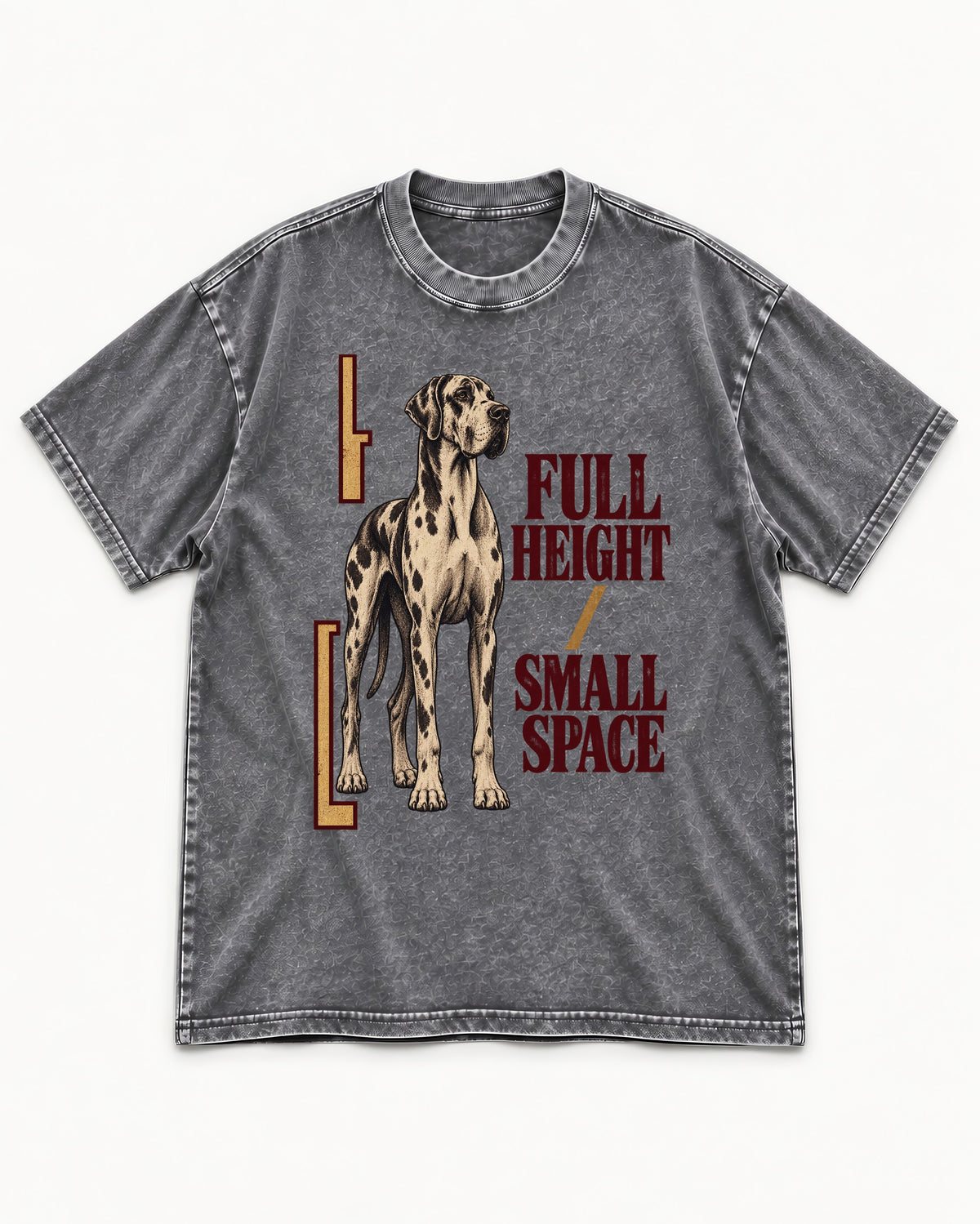 Great Dane Full Height Small Space Washed Tee in Gray, flat lay product photo