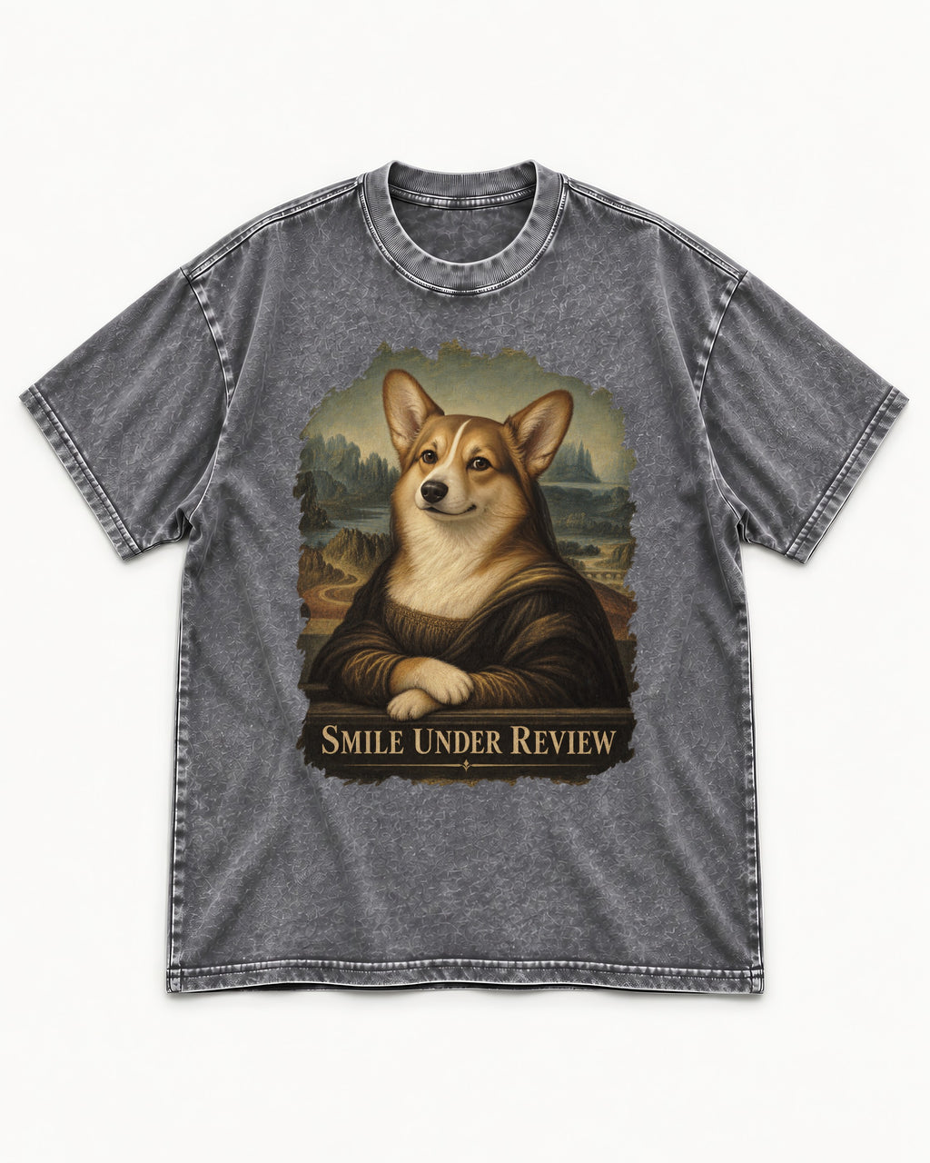 Corgi Smile Under Review Mona Lisa Portrait Washed Tee in Gray, flat lay product photo
