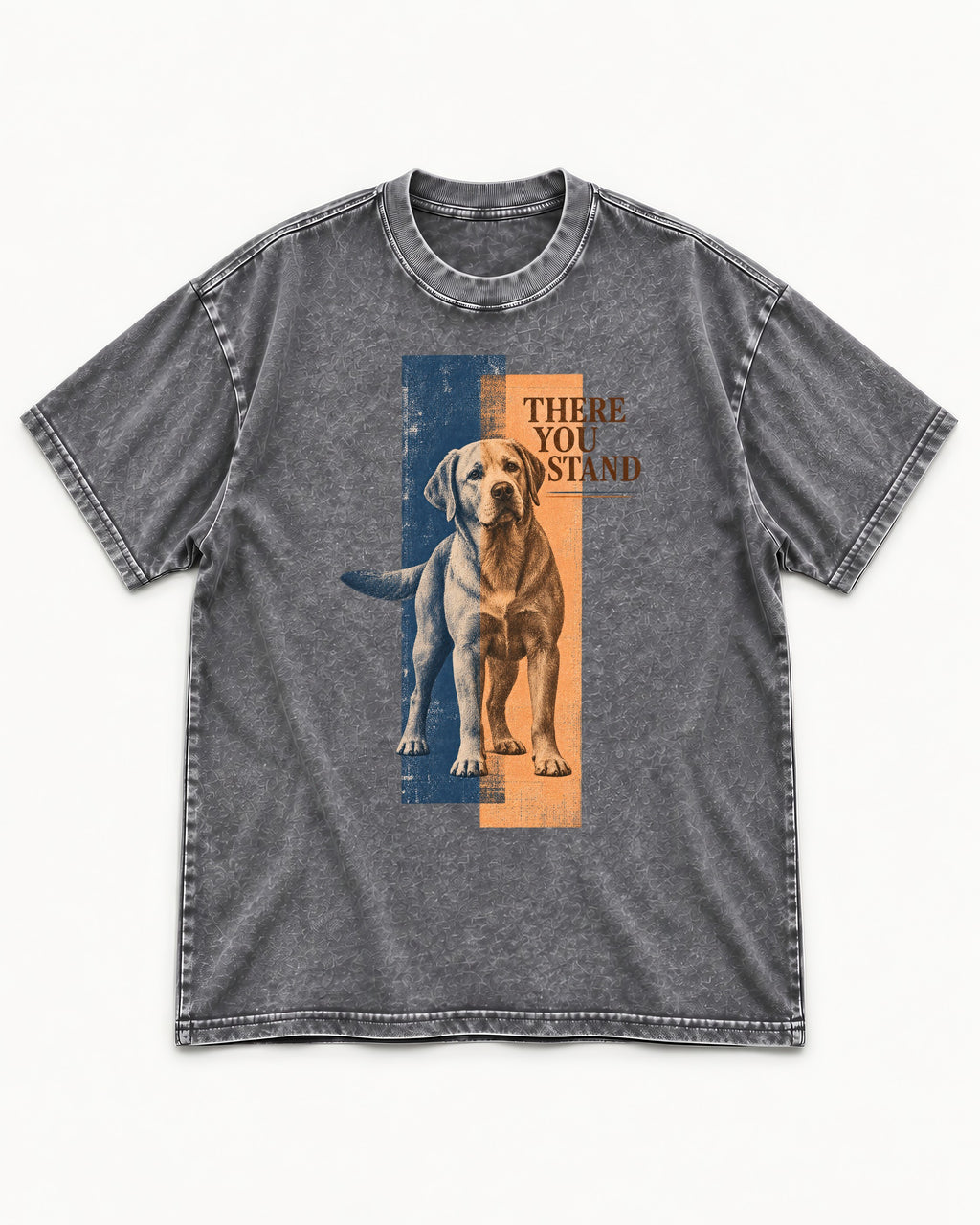 There You Stand Labrador Retriever Washed Tee in Gray, flat lay product photo