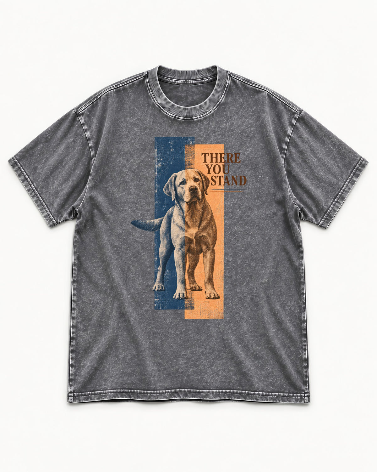 There You Stand Labrador Retriever Washed Tee in Gray, flat lay product photo
