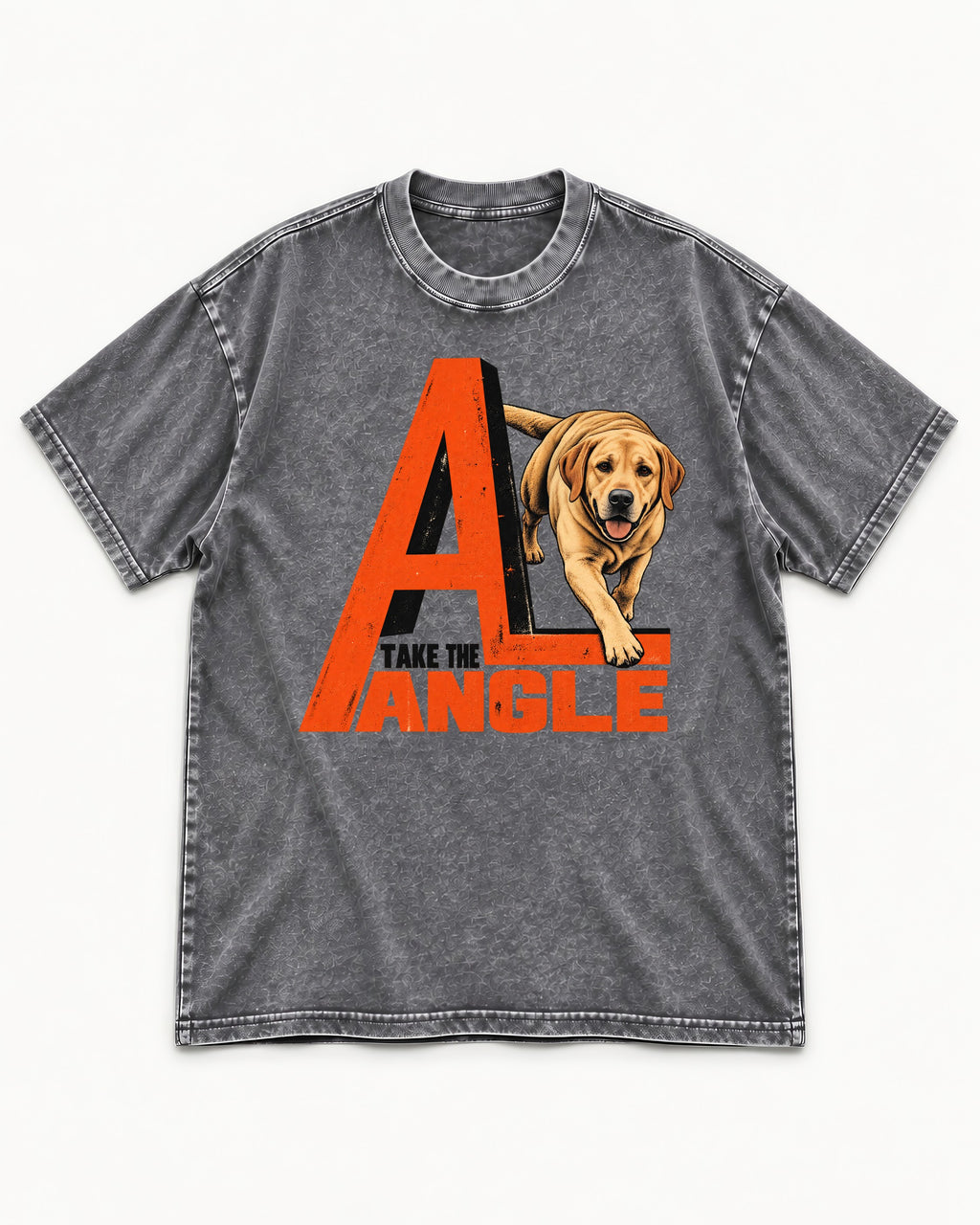 Take the Angle Labrador Retriever Washed Tee in Gray, flat lay product photo