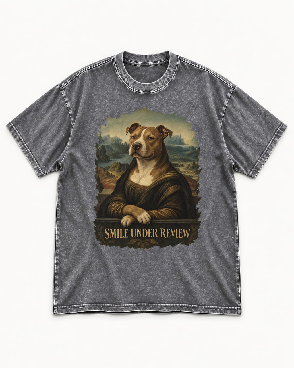 Pitbull Smile Under Review Renaissance Portrait Graphic Washed Tee in Gray, flat lay product photo