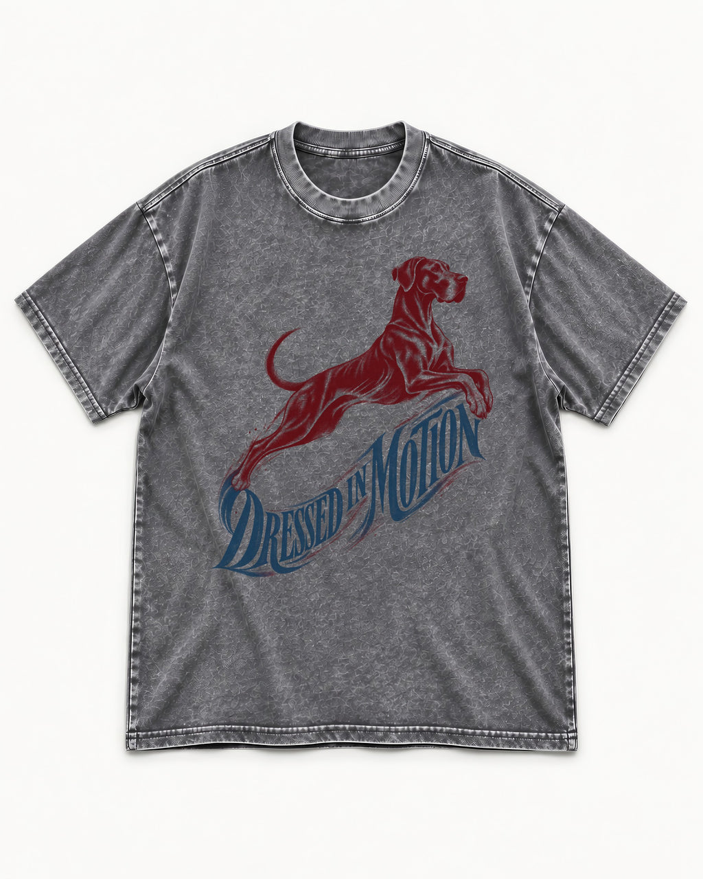 Great Dane Dressed in Motion Washed Tee in Gray, flat lay product photo