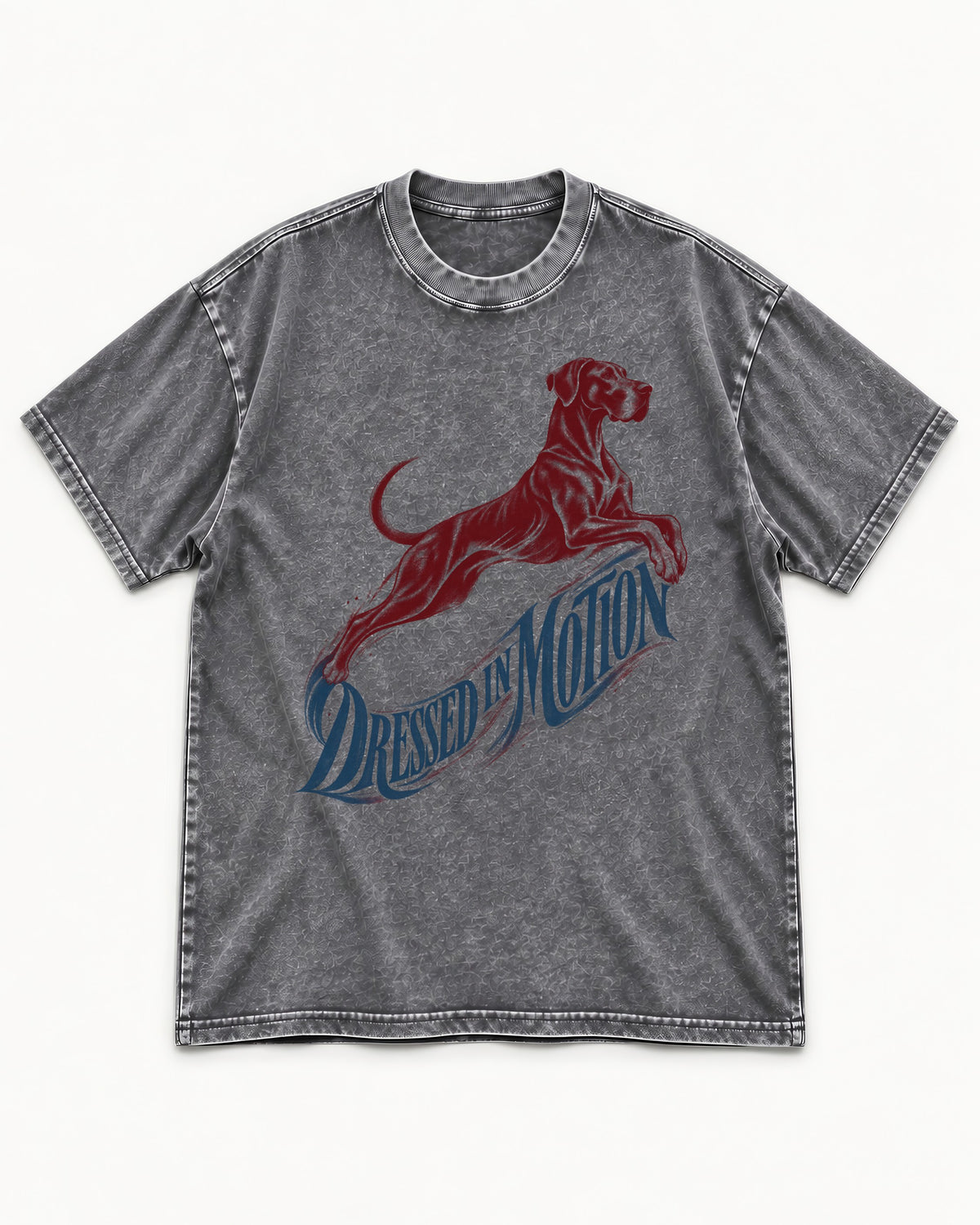 Great Dane Dressed in Motion Washed Tee in Gray, flat lay product photo