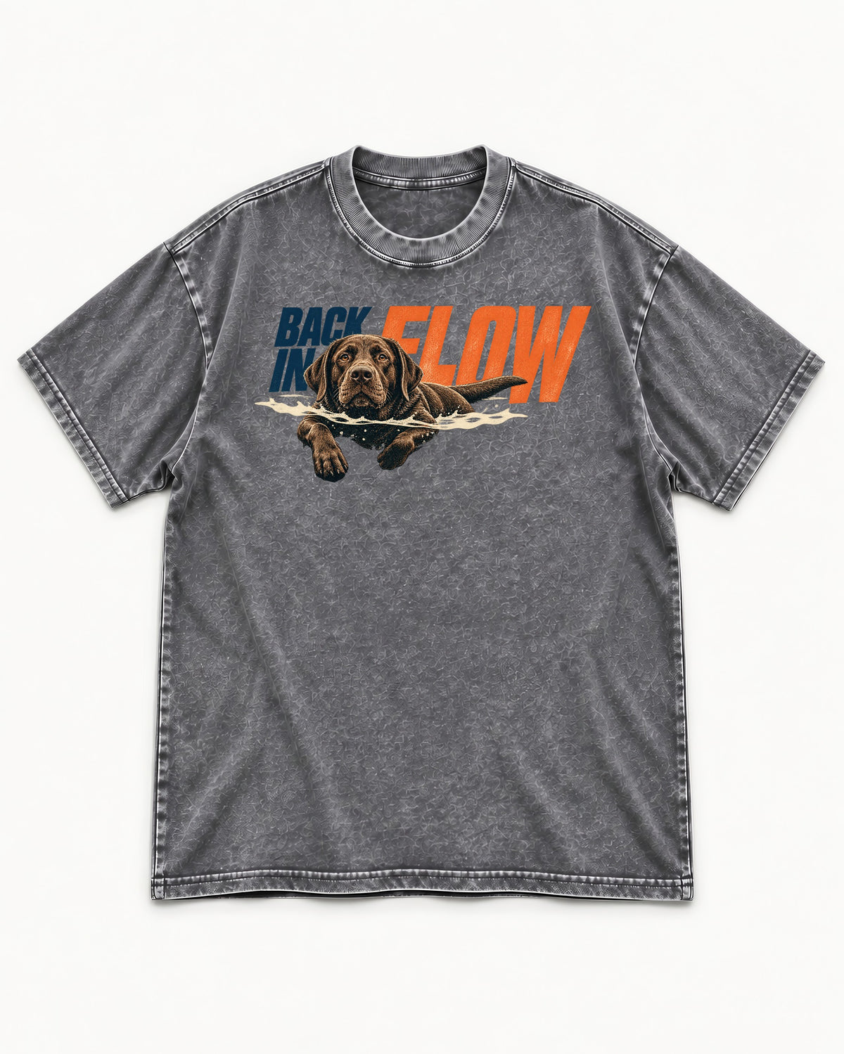 Labrador Retriever Back in Flow Washed Tee in Gray, flat lay product photo