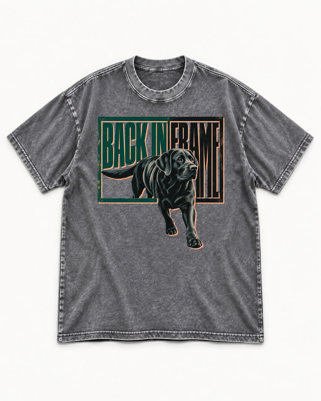 Labrador Retriever Back in Frame Washed Tee in Gray, flat lay product photo