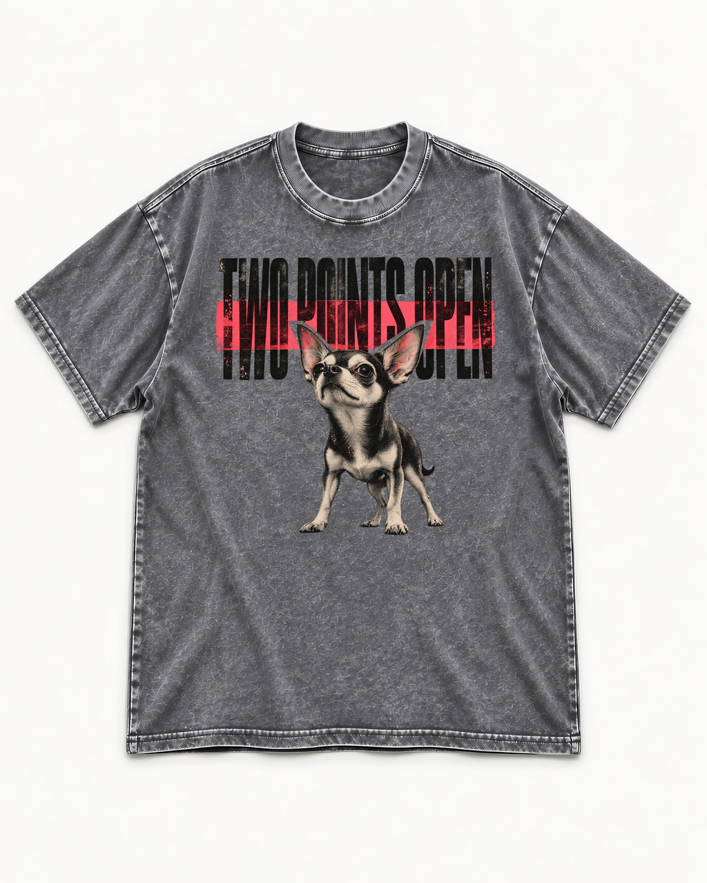 Two Points Open Chihuahua Washed Tee in Gray, flat lay product photo