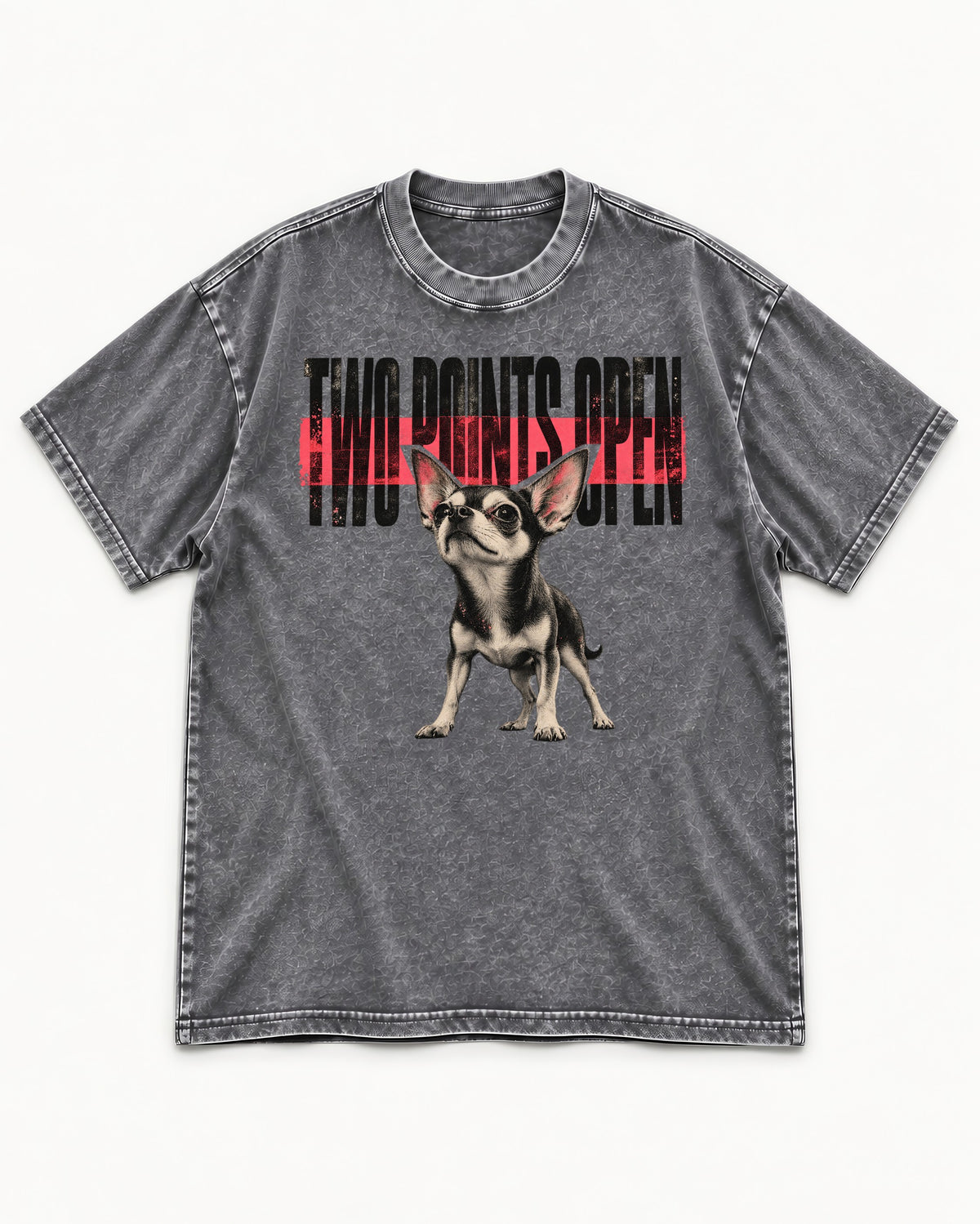 Two Points Open Chihuahua Washed Tee in Gray, flat lay product photo